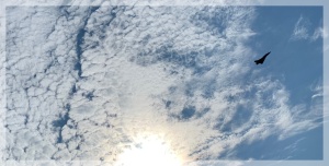 IMG_0292.jpeg