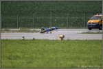 F9F Phanter2.jpg
