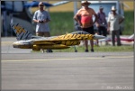 F-16 Fighting Falcon Tiger 1.jpg