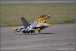 F-16 Fighting Falcon Tiger 2.jpg