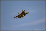F-16 Fighting Falcon Tiger 3.jpg