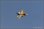 F-16 Fighting Falcon Tiger 4.jpg