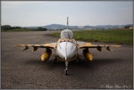 F-16 Fighting Falcon Tiger 6.jpg