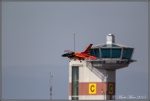 F16 Fighting Falcon6.jpg