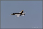 F18 3.jpg