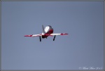 Hawk 2.jpg