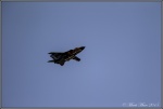 Tornado 2.jpg