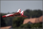 Wild Hornet 1.jpg