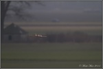 GMR le 12.01.2014 00026.jpg