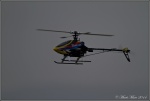 GMR le 12.01.2014 00142.jpg