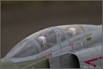 GMR le 12.01.2014 00364.jpg