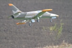 Jet - Albatros 23.jpg