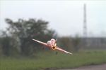 Jet - Hawk small 4.jpg