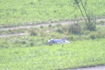 Jet - Phantom 2.jpg