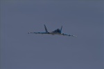 Jet - Wild Hornet blue 1.jpg
