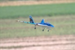 Jet - Wild Hornet blue 3.jpg