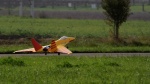 Jet - Wild Hornet jellow 1.jpg