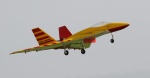 Jet - Wild Hornet jellow 2.jpg