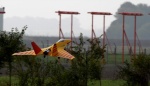 Jet - Wild Hornet jellow 3.jpg