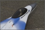 Gmr Payerne le 15.03.2014 00066.jpg