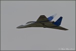 Gmr Payerne le 15.03.2014 00107.jpg
