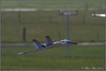 Gmr Payerne le 16.03.2014 00019.jpg