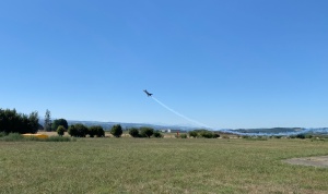 IMG_6761.jpeg