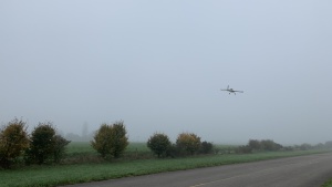 IMG_7768.jpeg