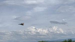 IMG_9248.jpeg